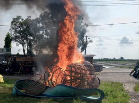 Polisi Bongkar Arena Judi Sabung Ayam di TPS Ngaglik Sidoarjo