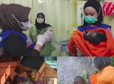 Bayi Baru Lahir Ditemukan dalam Kardus di Taman Graha ITS Surabaya, Dievakuasi ke Rumah Sakit